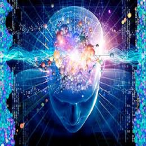 Brain